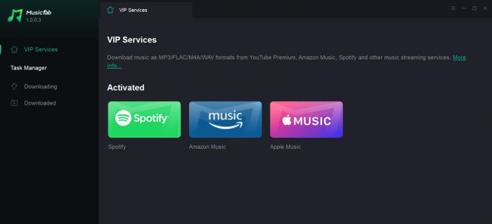 將Spotify轉換為MP3的步驟