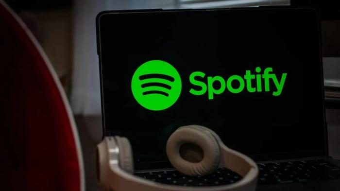 將Spotify轉換為mp3
