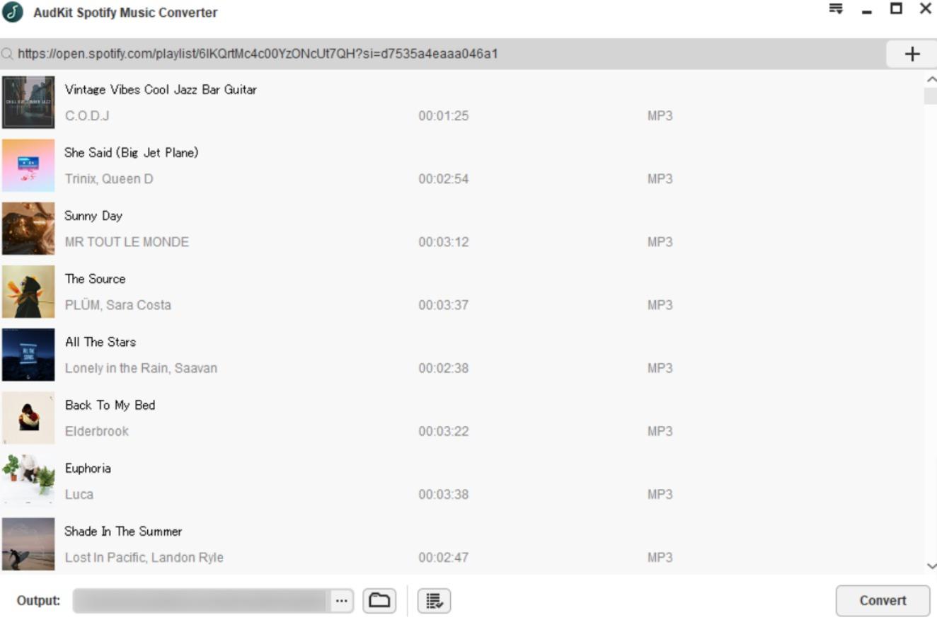 spotify music converter
