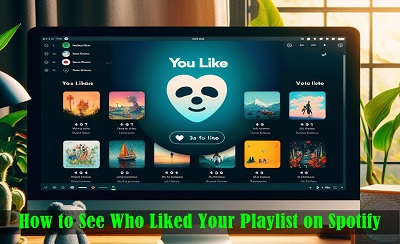 How to See Who Liked Your Playlist on Spotify?