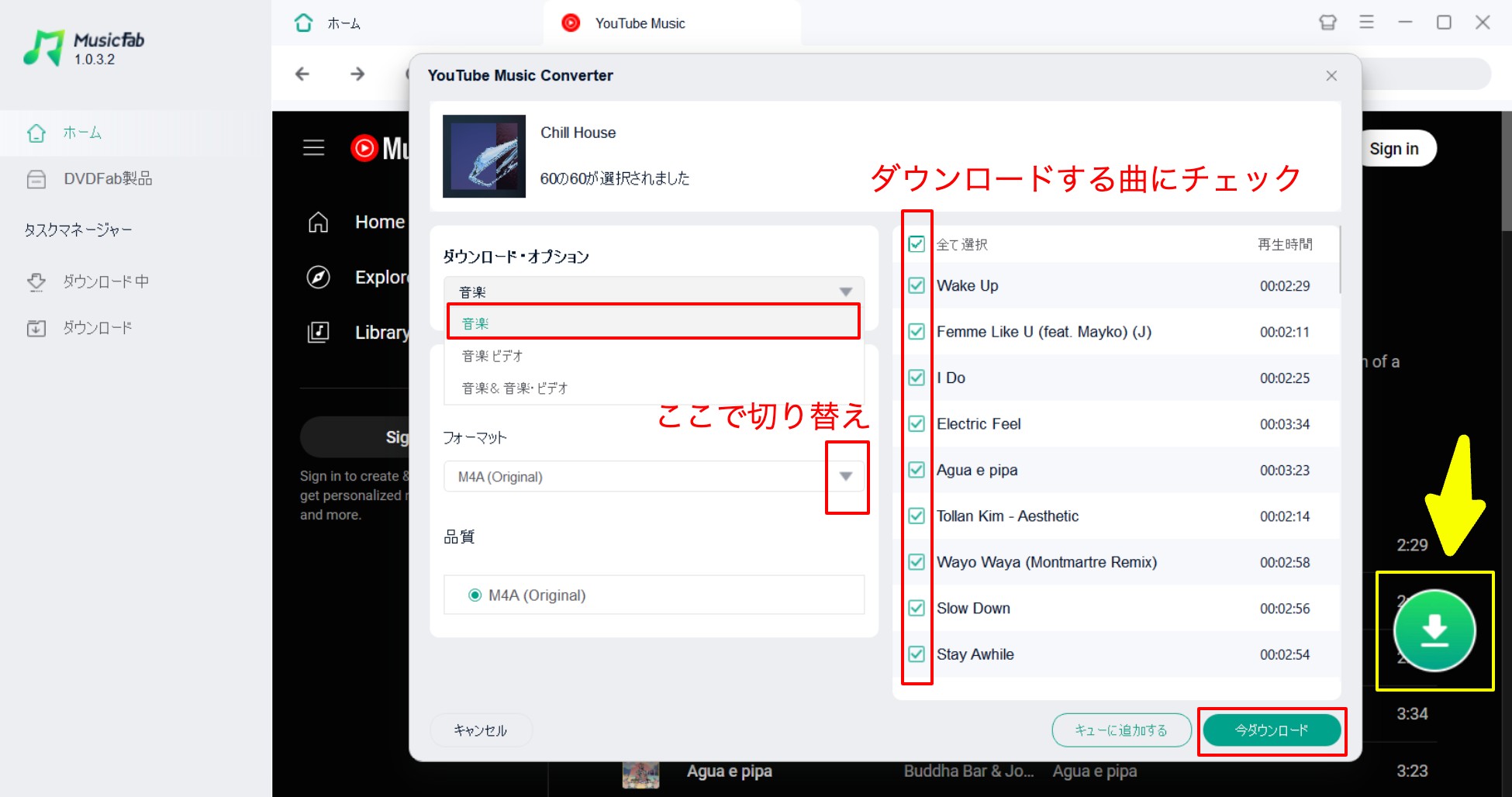 MusicFabで出力形式を設定する画面