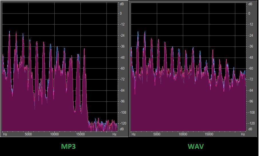 What are WAV and MP3 Files?