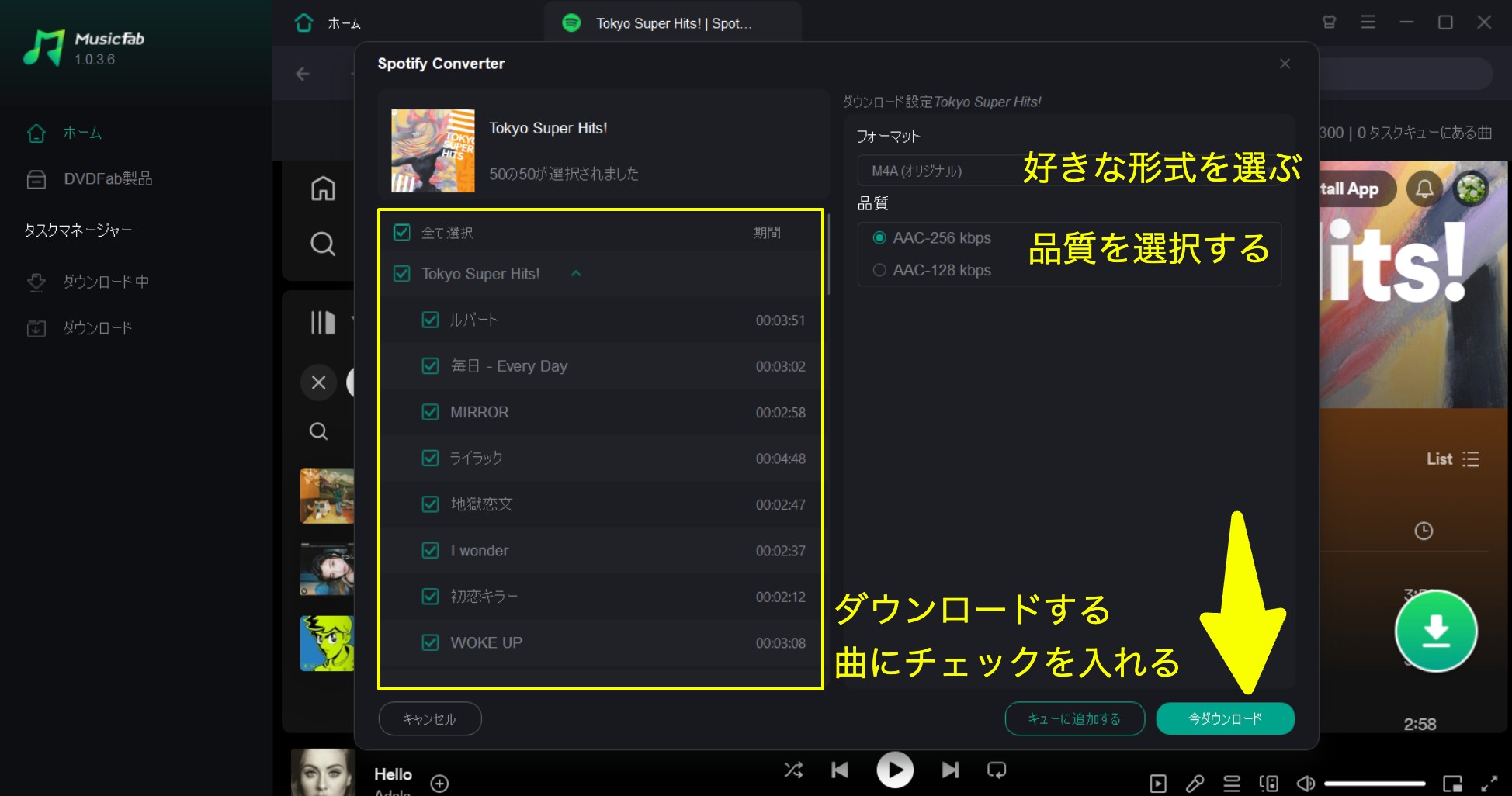 MusicFabでSpotifyの出力形式を設定する