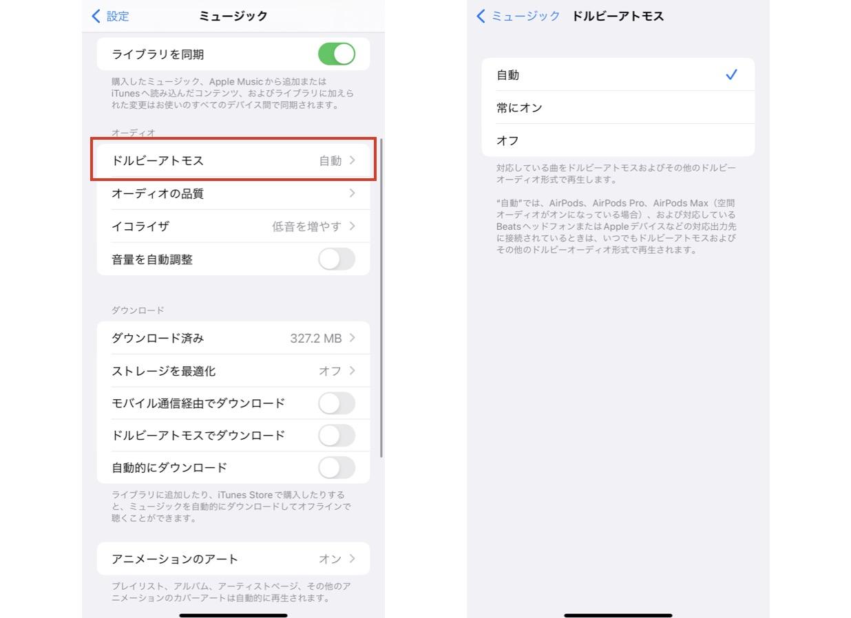 apple music 通信量 異常