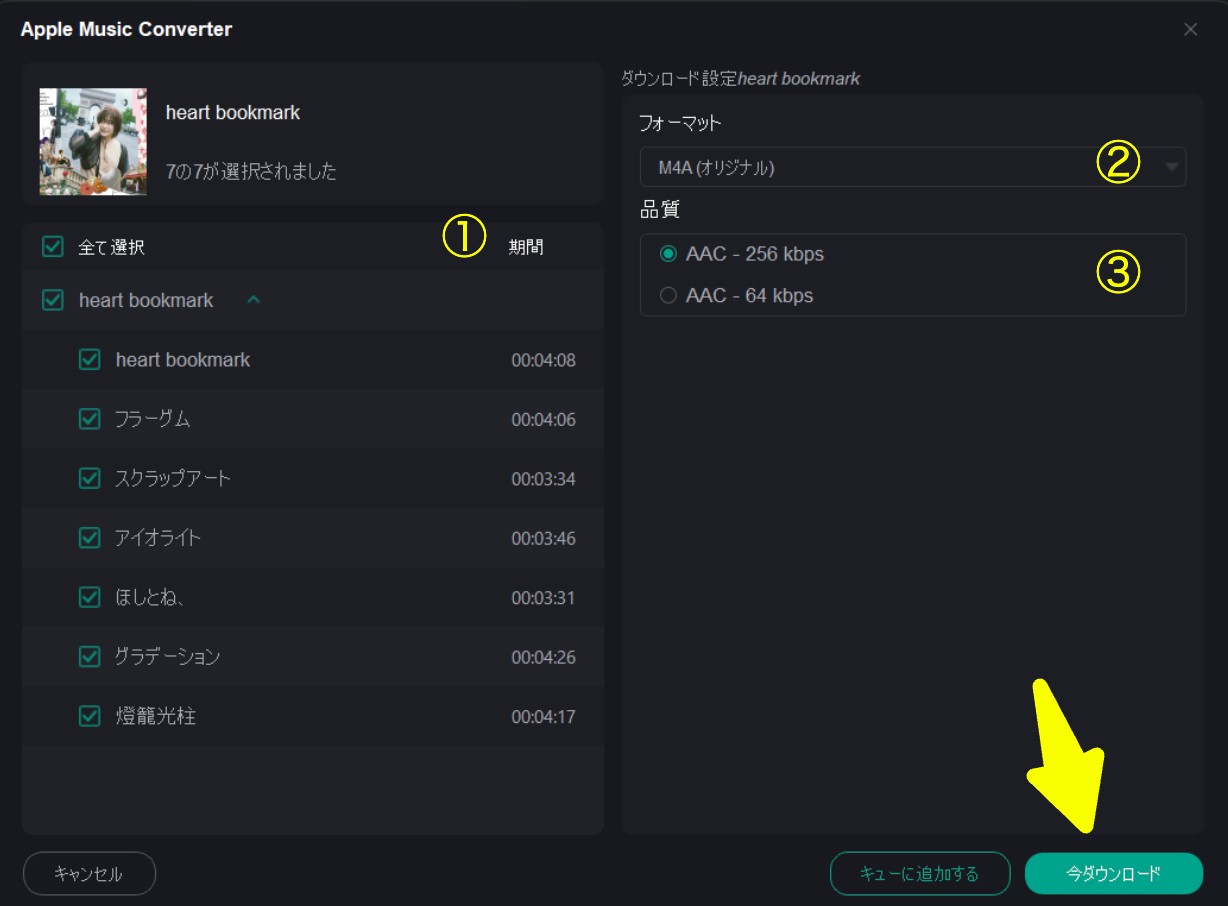 MusicFabで出力形式を設定する