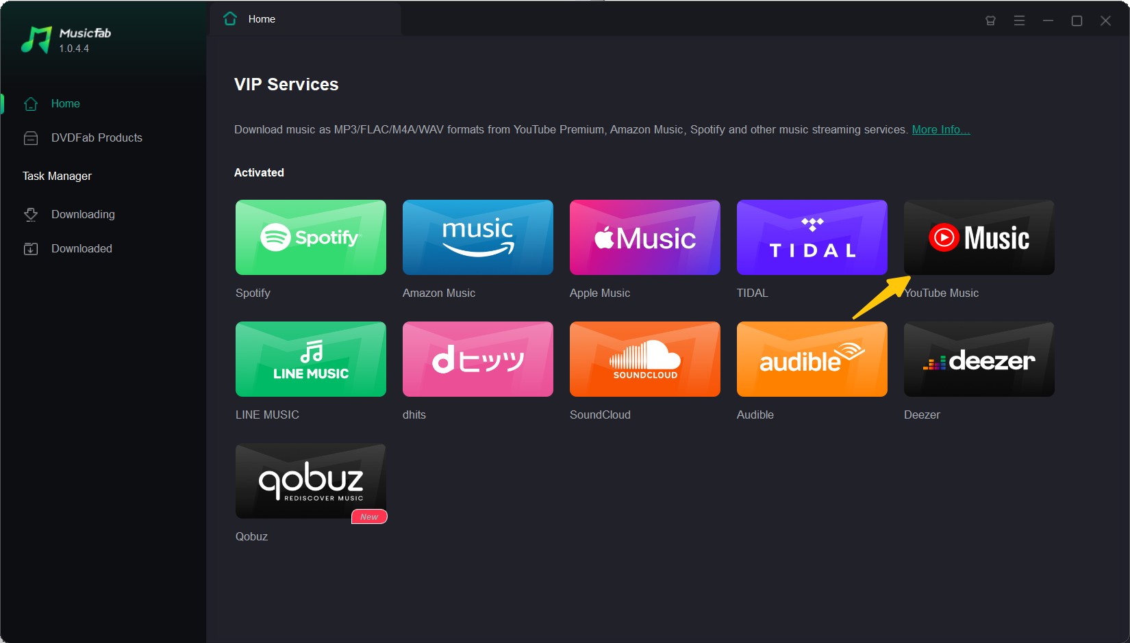Launch MusicFab and Choose YouTube Music