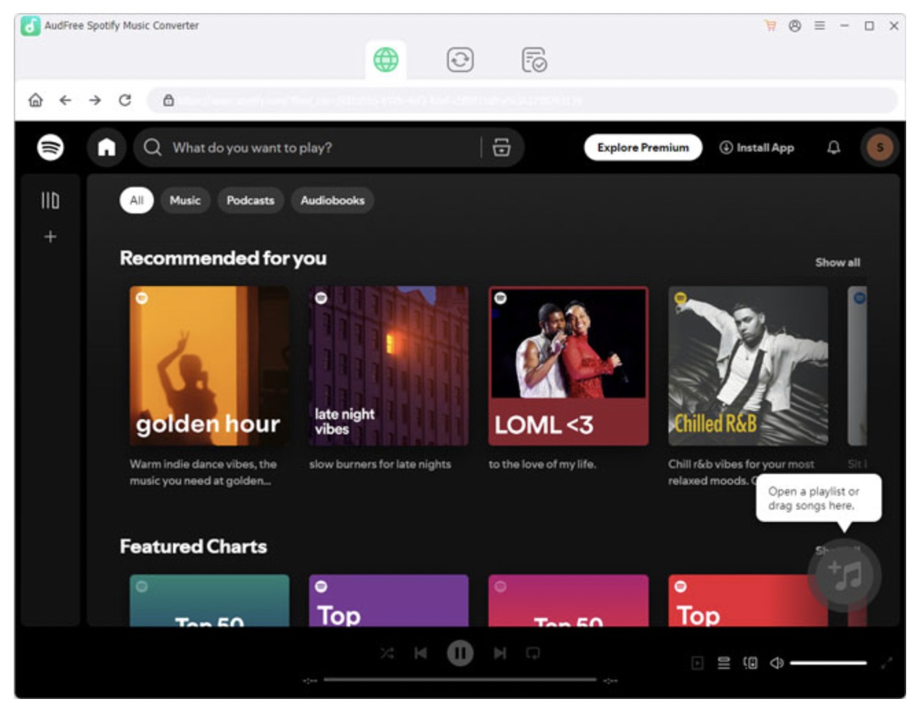 reach the Spotify Web Player