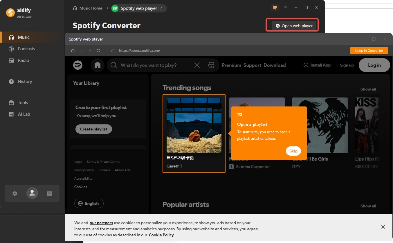 sidiy spotify converter
