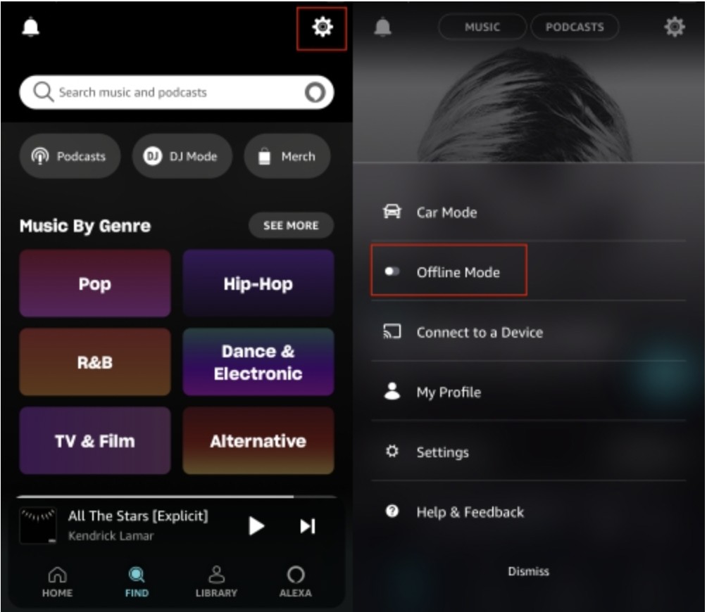 How To Listen To Amazon Music Offline On iPhone